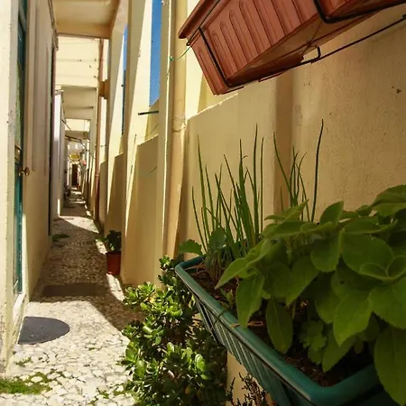 Apartament Castelo Sao Jorge-graca -apartments *
